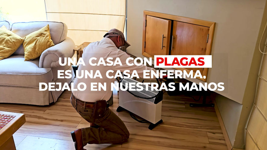 VIDEO FUMIGACION CASA